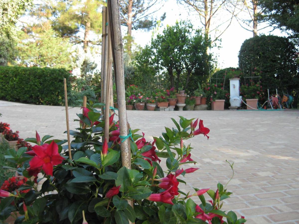 Casa dei Pini Country House Osimo Esterno foto