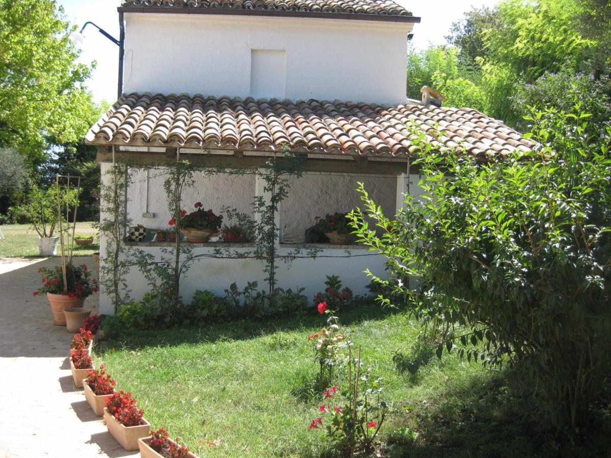Casa dei Pini Country House Osimo Esterno foto